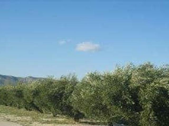 Terreno en venta Ontinyent
