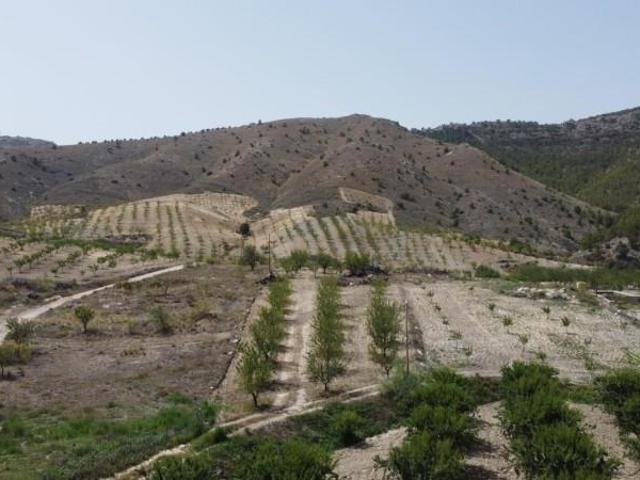 Terreno en venta Oria