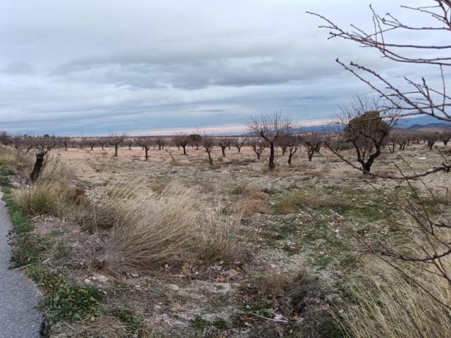 Terreno en venta Oria