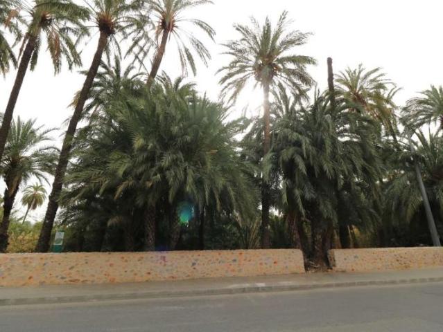 Terreno en venta Orihuela