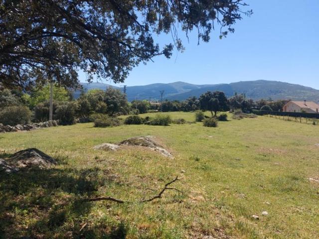 Terreno en venta Ortigosa del Monte