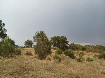 Terreno en VENTA Atlangantepec Tlaxcala