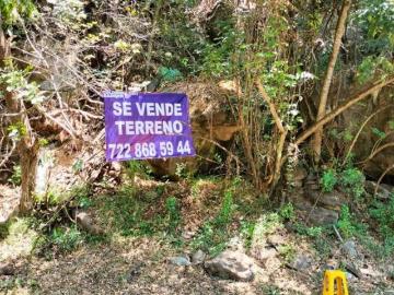 TERRENO EN VENTA, AVÁNDARO, VALLE DE BRAVO, EDO MEX, VALLE DE BRAVO, OPORTUNIDAD, AVANDARO
