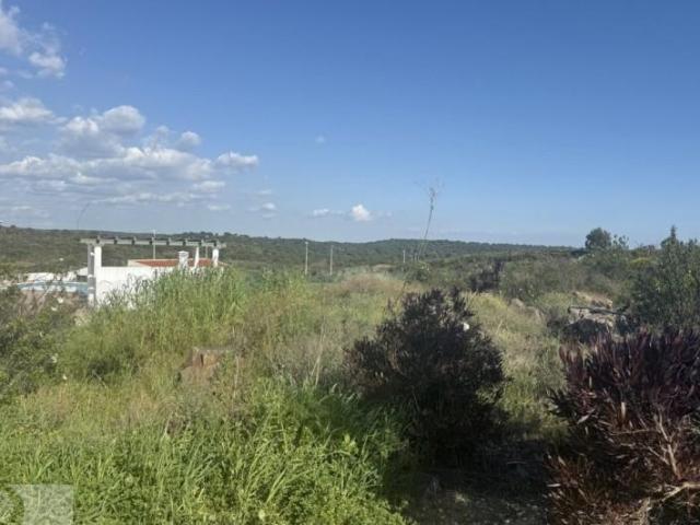 Terreno en venta Ayamonte