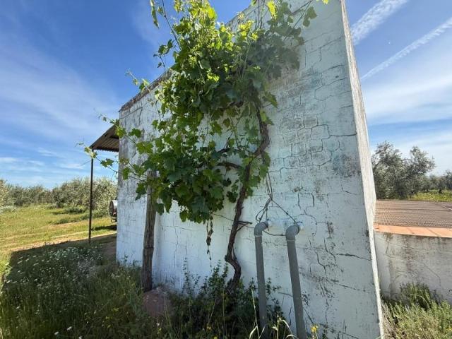 Terreno en venta Aznalcázar