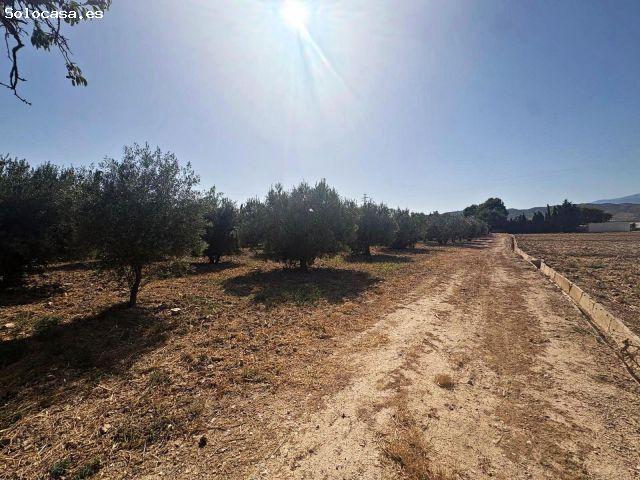 TERRENO en venta a 10 minutos de Totana