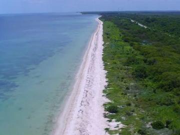 Terreno en Venta a Orillas de la Playa, en Champot?n, Campeche