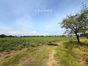 TERRENO EN VENTA A PIE DE CARRETERA EN ZONA INDUSTRIAL, JALISCO