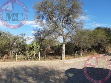 Terreno en Venta a un Costado de la Comunidad del Niágara, Ags