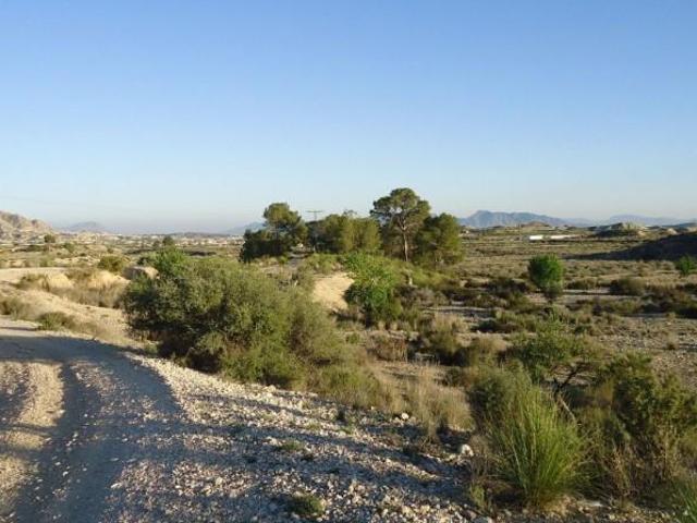 Terreno en venta Abanilla