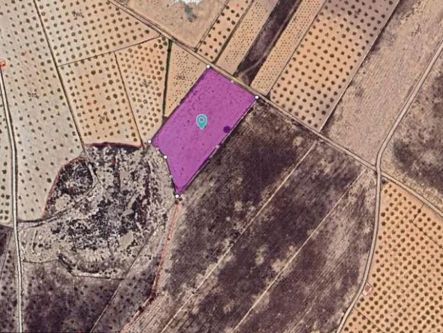 Terreno en venta Abanilla