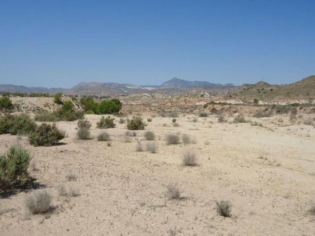 Terreno en venta Abanilla