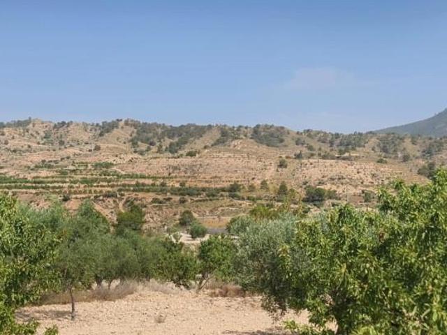 Terreno en venta Abanilla