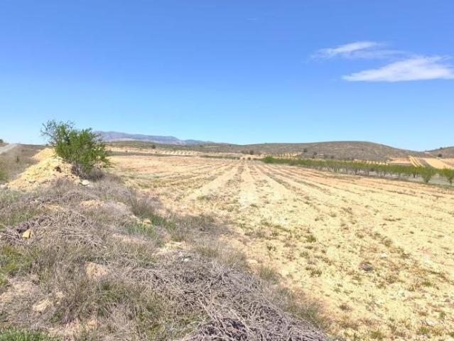 Terreno en venta Abanilla