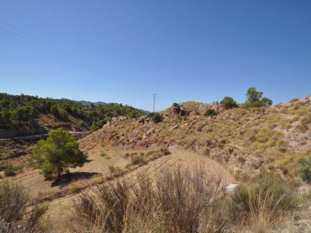 Terreno en venta Abanilla