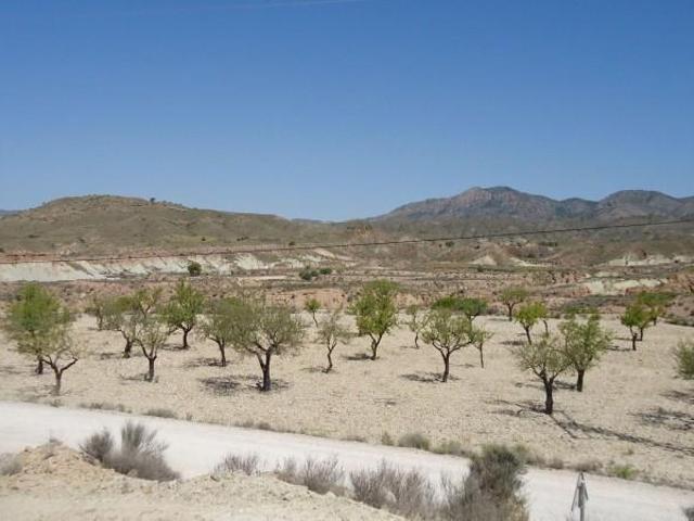 Terreno en venta Abanilla