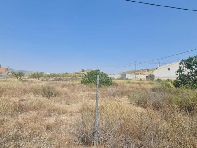 Terreno en venta Abanilla
