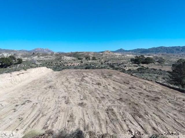 Terreno en venta Abanilla