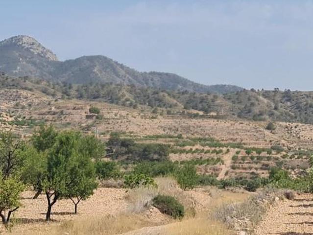 Terreno en venta Abanilla