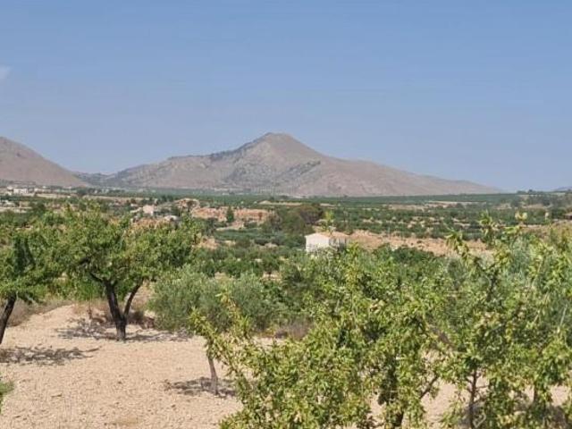 Terreno en venta Abanilla