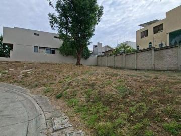 TERRENO EN VENTA ABADÍA RESIDENCIAL JUAN PALOMAR Y ARIAS