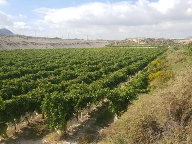 Terreno en venta Agost