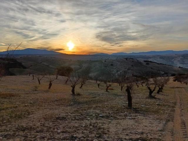 Terreno en venta Agrón
