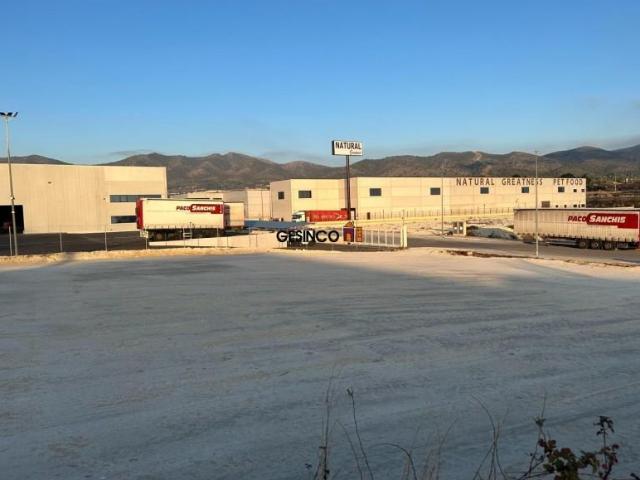 Terreno en venta Aielo de Malferit