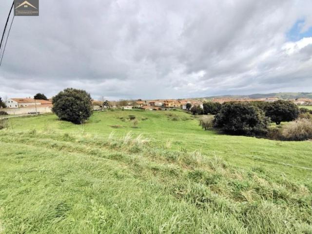 Terreno en venta Ajo