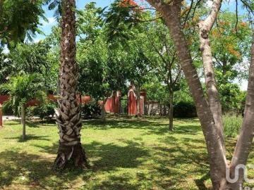TERRENO EN VENTA AL NORTE DEL ESTADO DE YUCATÁN, EN HACIENDA SAN DIEGO PETZEBALAM
