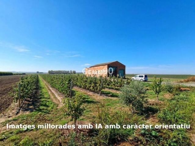 Terreno en venta Alcoletge