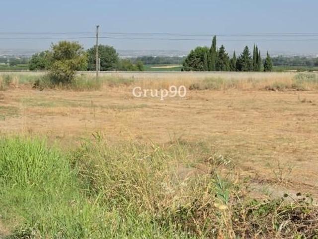Terreno en venta Alcoletge