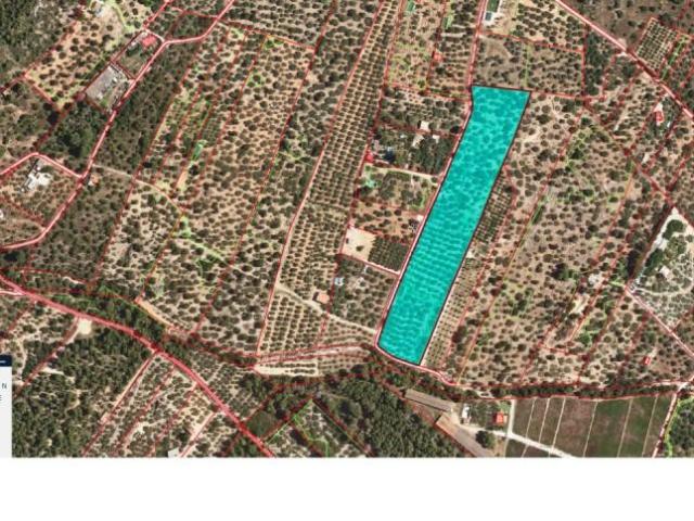 Terreno en venta Alcanar