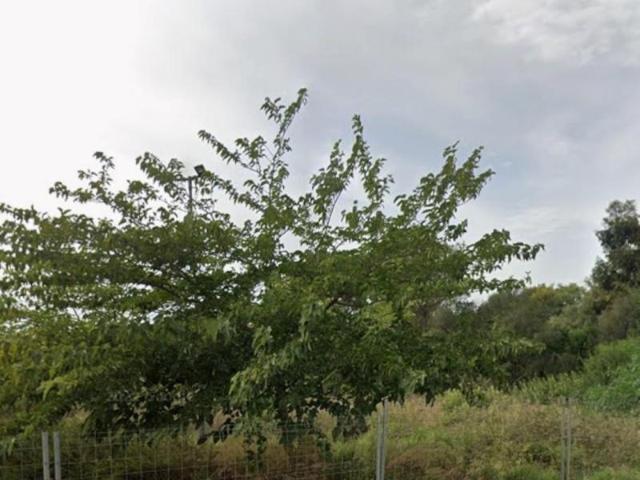 Terreno en venta Alcúdia