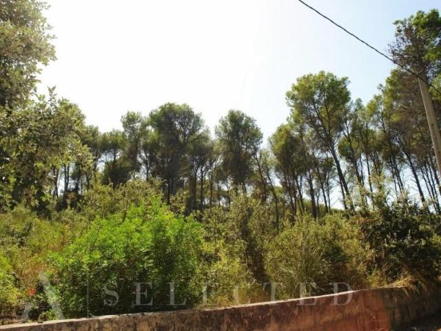 Terreno en venta Alcúdia