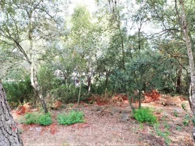 Terreno en venta Alcúdia
