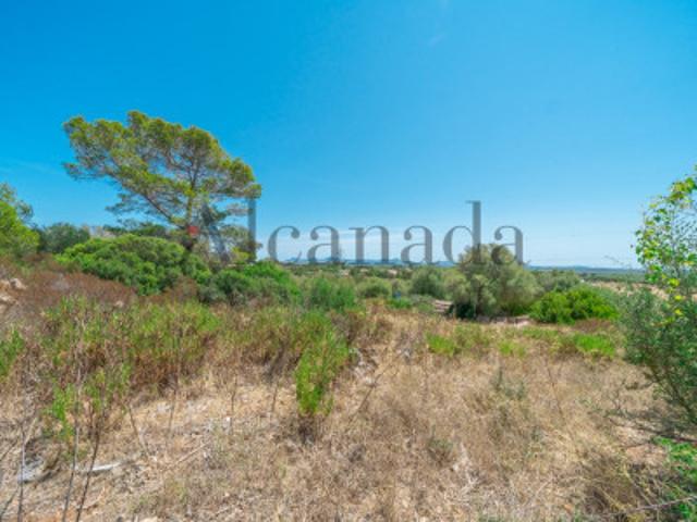 Terreno en venta Alcúdia
