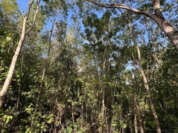 Terreno en Venta – Álamos Precio Oportunidad