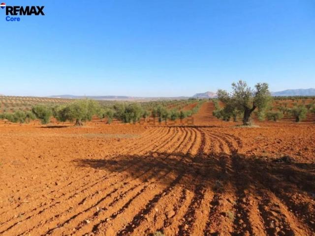 Terreno en venta Alange