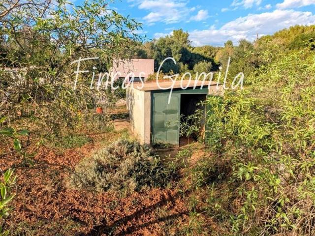 Terreno en venta Alaior