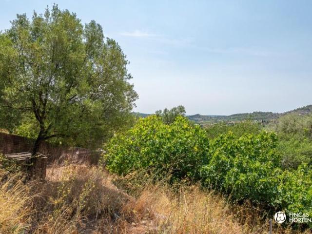 Terreno en venta Alaró