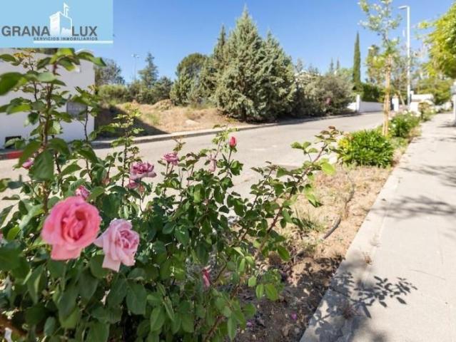Terreno en venta Albolote