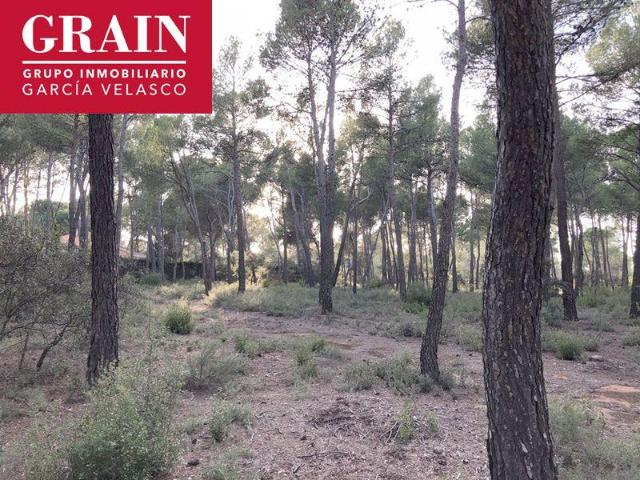 Terreno en venta Albacete