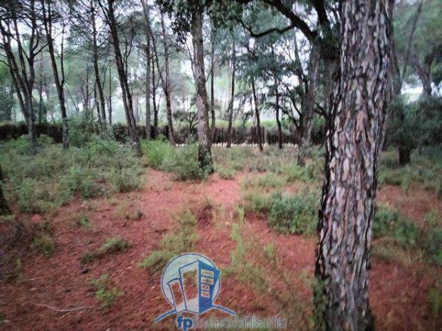 Terreno en venta Albacete
