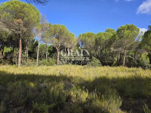 Terreno en venta Albacete