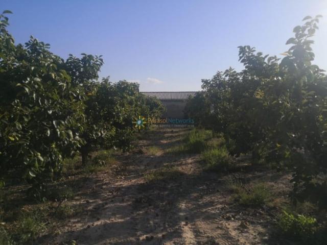 Terreno en venta Albaida