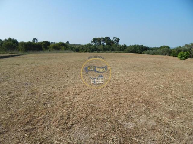 Terreno en venta Albaida