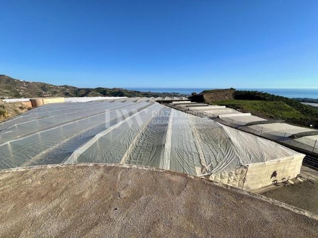 Terreno en venta Algarrobo