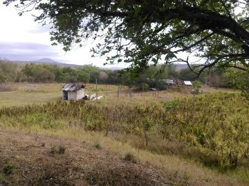 Terreno en Venta, Aldama Tamaulipas