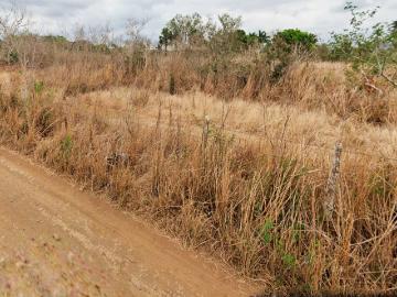 Terreno en venta, Aldama, Tamaulipas